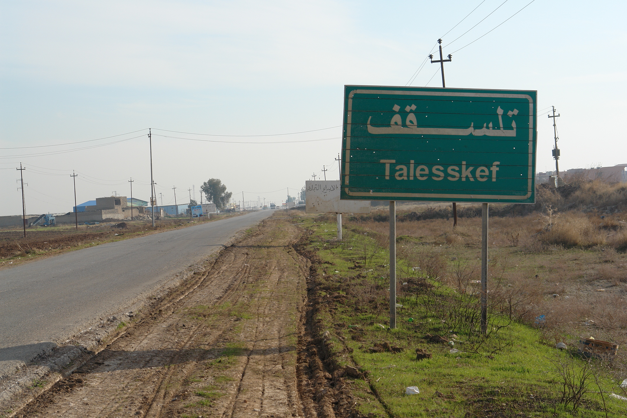 tlsqof (1)