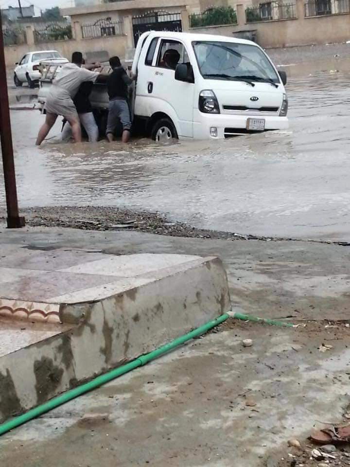 البري 6