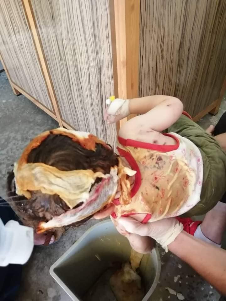 السائبة 6