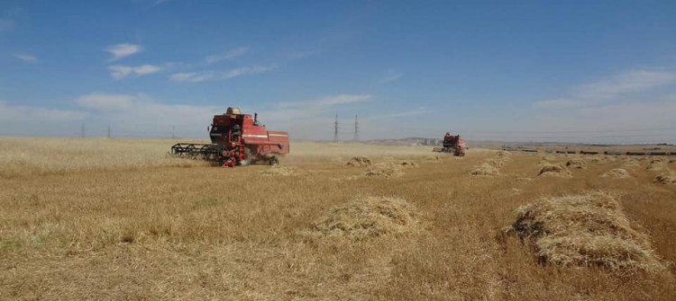 Sinjar silo reopens after six years of closure
