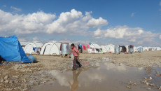 86 camps still house thousands of IDPs across Iraq
