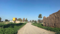 Interim mayor of Daquq: farmlands claimed by Arab tribes belong to Kaka’i villagers