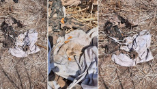 Ezidi family finds mass grave in their house after returning