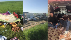 Ezidi workers entered Duhok and are quarantined for 14 days