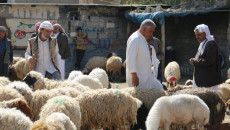 ئەو كەسەی لە كەركوك توشی تای خوێنبەربون بوو، گیانیلەدەستدا