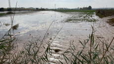 Floods submerge crops of 120 farmers