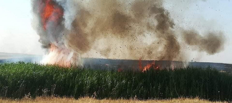 Kerkük'te 2 bin dönüm ve Ninova'da 6 bin dönüm tahıl yakıldı