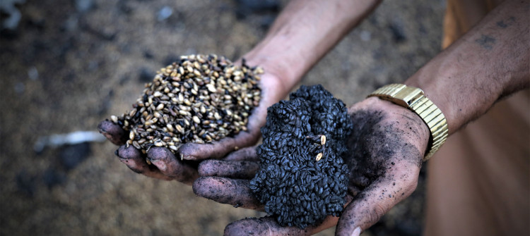 Fire devour 3 people & 150 donums of crops west of Kirkuk