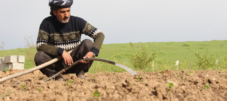 Kirkuk: Farmers warns of fruit and vegetable shortages amid coronavirus traffic ban