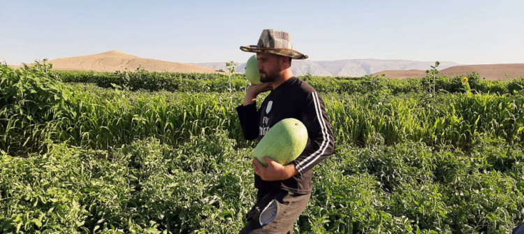 Security checkpoints give Shingal farmers hard time