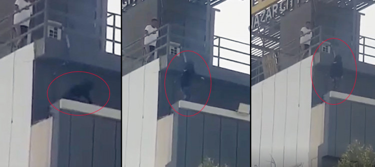 كچێك لە "هەوڵی خۆكوشتن" رزگاردەكرێت