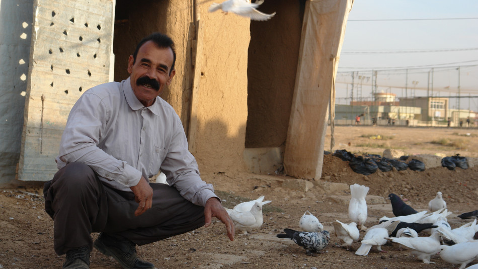 Displacement is not a barrier to his hobby, pigeons