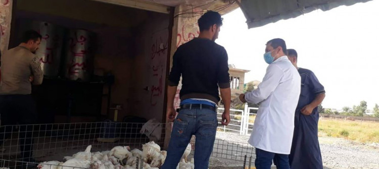 'Spread of swine flu kept secret in Mosul'