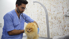 First pet care clinic opens in Mosul