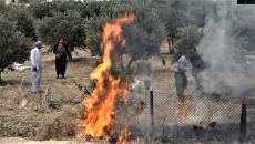 15-year-old girl dies in fire accident in Shingal