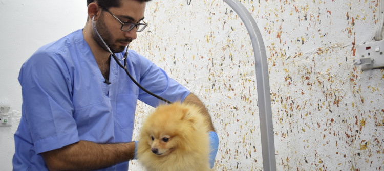 First pet care clinic opens in Mosul