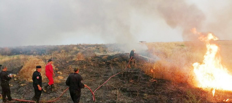 Ninewa: Death toll from crop fire-related incidents risen to 7