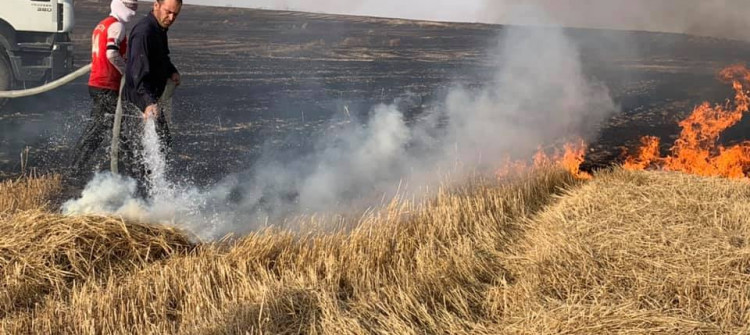 Three dead, four injured in Talafar crop fire incident