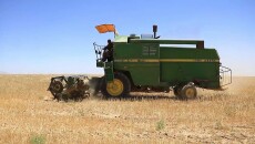Sinjar Silo unable to receive farmers' wheat