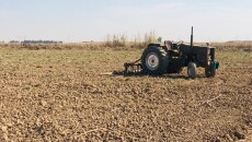 Federal Court to determine ownership of 8,000 hectares of agricultural land in Kirkuk