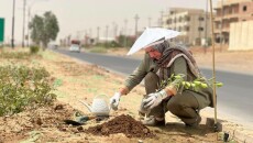 كەركوك پێويستی بە یەك ملیۆن دار هەیە<br>ســــەوزكردنی شــار هەموان لە بەرەیەكدا كۆدەكاتەوە
