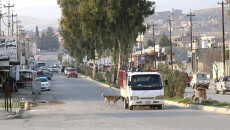 No Agreement on Formation of Shingal (Sinjar) Administration, Nineveh Council Extends Nomination for Mayor