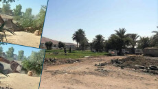 Tuz Kkhurmatu: Dozens of palm and olive trees uprooted