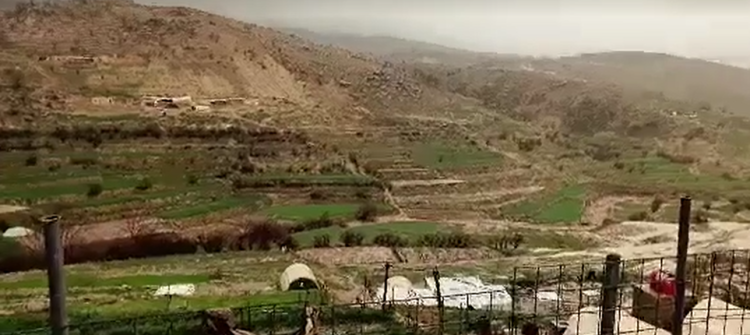 (كەركوك ناو) زیانەكانی بارانی بەخوڕ لە شنگال بڵاودەكاتەوە