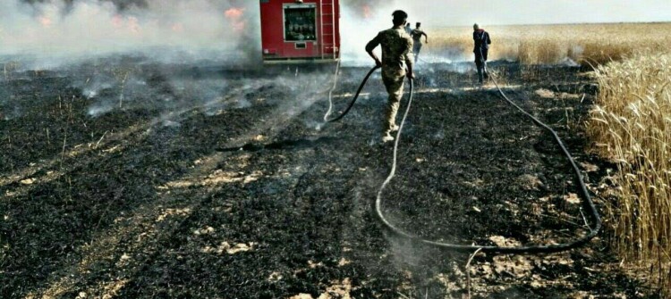 Bashiqa: 15 Hectares of Wheat Burned Before Harvest