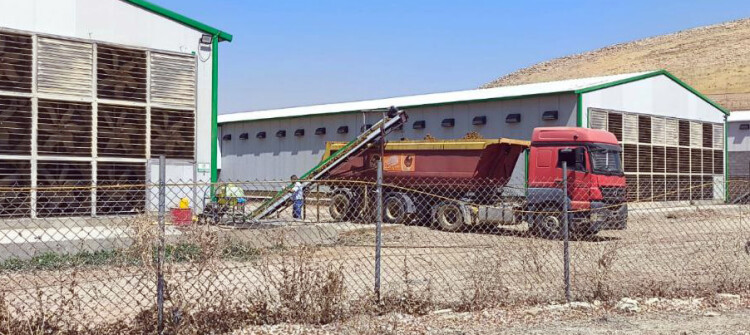Odor of Poultry Farms disturbs Residents of Bashiqa