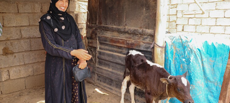 Empowering rural communities toward resilience in Iraq