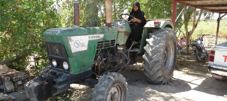 Umm Anwar enlightens Diwaniyah<br>Processed organic fertilizer achieved high productivity and cost-effectiveness