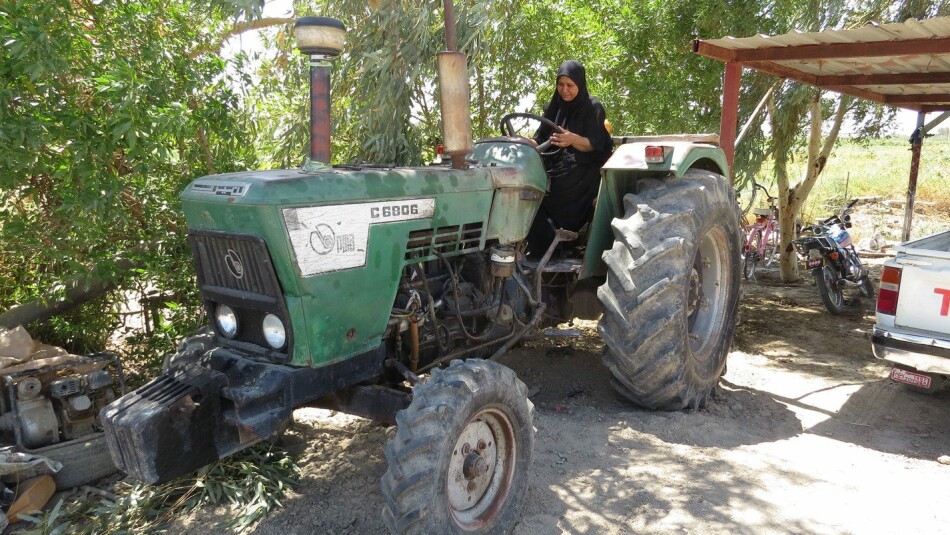 Umm Anwar enlightens Diwaniyah<br> Processed organic fertilizer achieved high productivity and cost-effectiveness