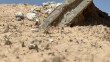 Anti-Genocide Activists Discover Remains of "1,000 Anfal Victims" in Kirkuk