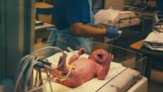 دڵنیابونەوە لە زانیارییەكان: دۆشاوی توو و خورما نابێتەهۆی لەباربردنی كۆرپەلە