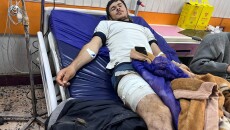 هجمات قطعان الخنازير تؤرق سكان داقوق... ستة أشخاص أصيبوا خلال أسبوعين