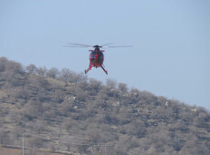 باستخدام تقنية كرات الطين...ألقوش تجهز نصف مليون بذرة لمحاربة التصحر