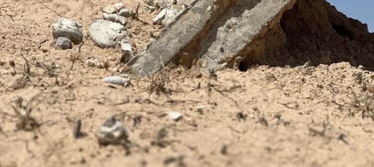 Anti-Genocide Activists Discover Remains of "1,000 Anfal Victims" in Kirkuk