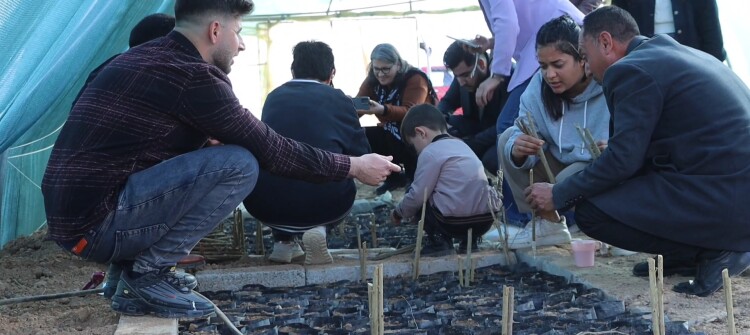 5,000 Pomegranate Cuttings from Halabja for Shingal(Sinjar)<br>74 Fig Trees from Shingal for Halabja