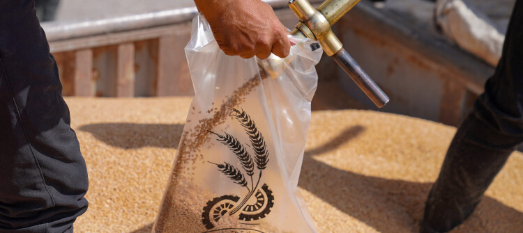 Per Prime Minister’s Instructions: All Wheat of Nineveh Farmers to be Purchased by State Silos
