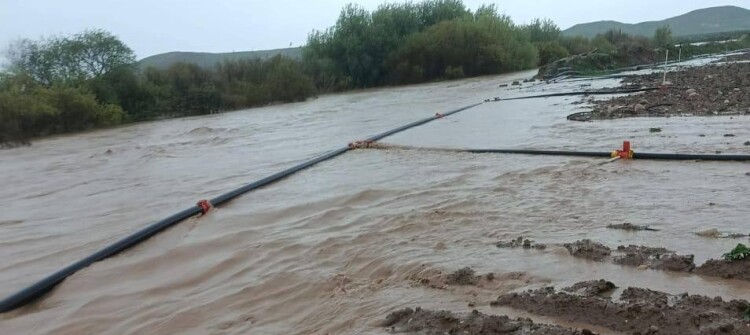 لافاو زیانی به‌ جوتیاران گه‌یاندووه‌ "65 دۆنم زه‌وی چێنراوم به‌ په‌تاته‌ ئاوبردی"