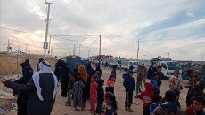 وزيرة الهجرة: ديالى تخلو من المخيمات