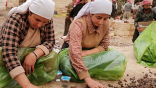 Fotoğraflarla Laleş’te zeytinyağı yapımı