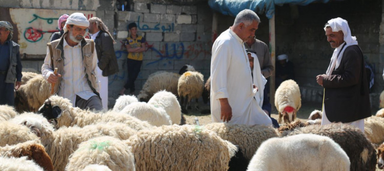 Kerkük Belediyesi kurban kesimi için 6 yer belirledi, ihlal edenler uyarıldı!