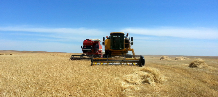 Kirkuk farmers upset as cost of chemicals and seeds double