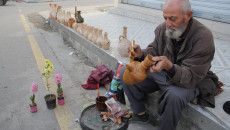 أبو عمر.. "كواز" بعد الحرب بعد أن دمر محله واندثرت مهنته