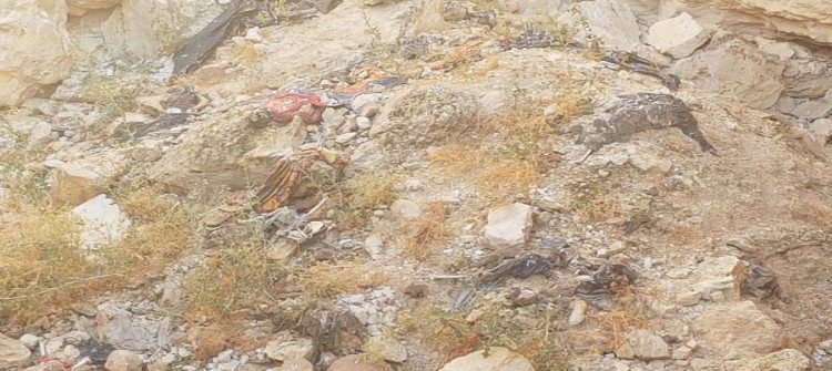 رفات التركمان تختلط بأقرانهم العرب والايزيدية..<br>  السلطات المعنية تستعد لفتح أكبر مقبرة جماعية في تلعفر