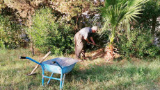 Ebubekir Hüseyin mahallesindeki kurak bahçeyi hayata döndürdü