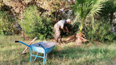 A local keeps the neighborhood park green as the government is missing