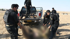 تفاصيل مقتل أربعة من مسلحي داعش في بردي <br>القوات الأمنية: أخذنا بثأرنا في كمين